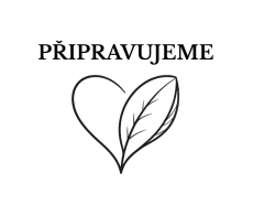 HŘEBÍČEK - Černý čaj
